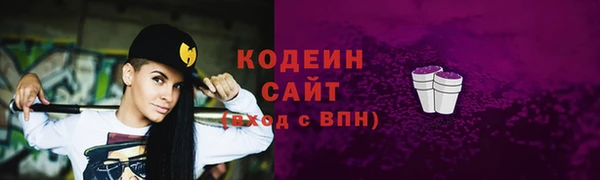 прущий лед Тихвин