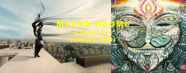 прущий лед Тихвин