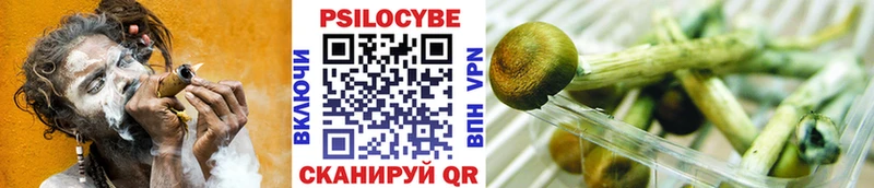 Галлюциногенные грибы мухоморы  darknet телеграм  Янаул 