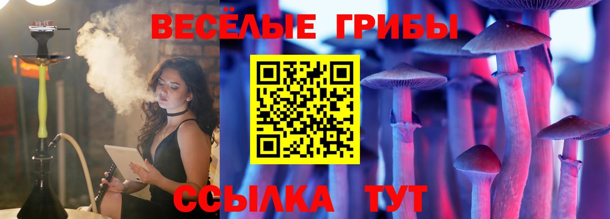 Янаул  Псилоцибиновые грибы GOLDEN TEACHER  Вход с VPN 